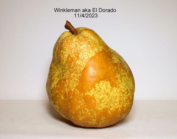 Winkleman aka El Dorado BRS