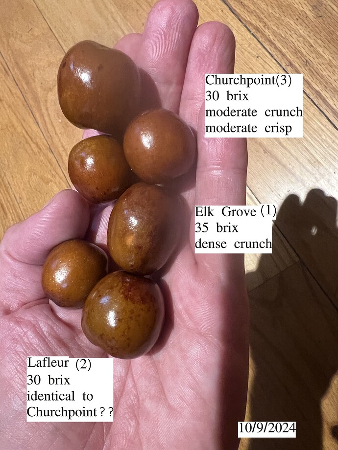 Churchpoint_LaFleur_10-09-2024