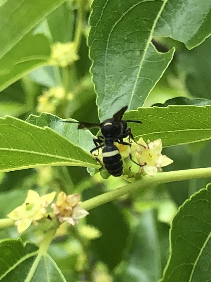 0FFC47A2-F5A3-4FBB-84A1-51CF2859DCF8