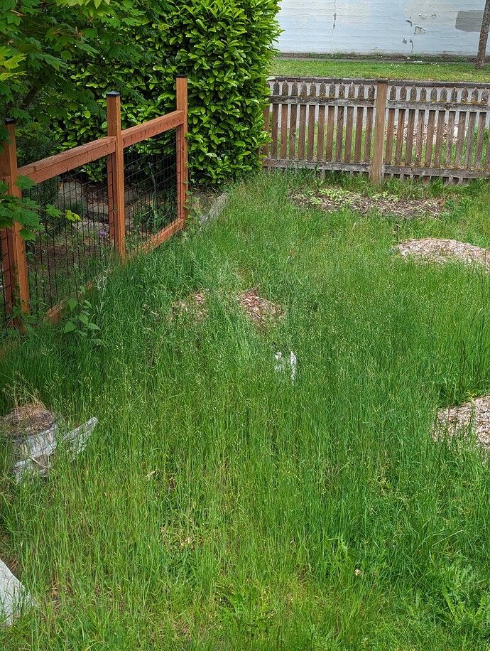 PXL_20240527_222727893
