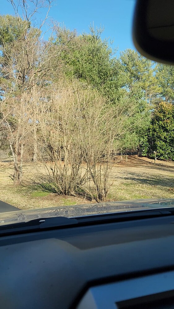 VideoCapture_20250309-100824