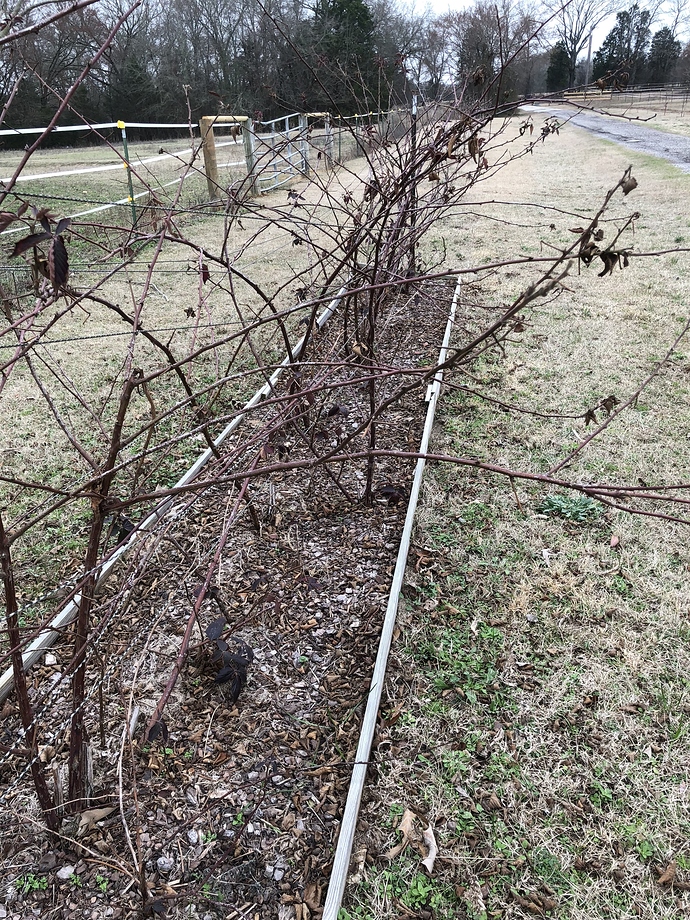 210FC587-F532-4FAB-8B17-E9B21F3F722C