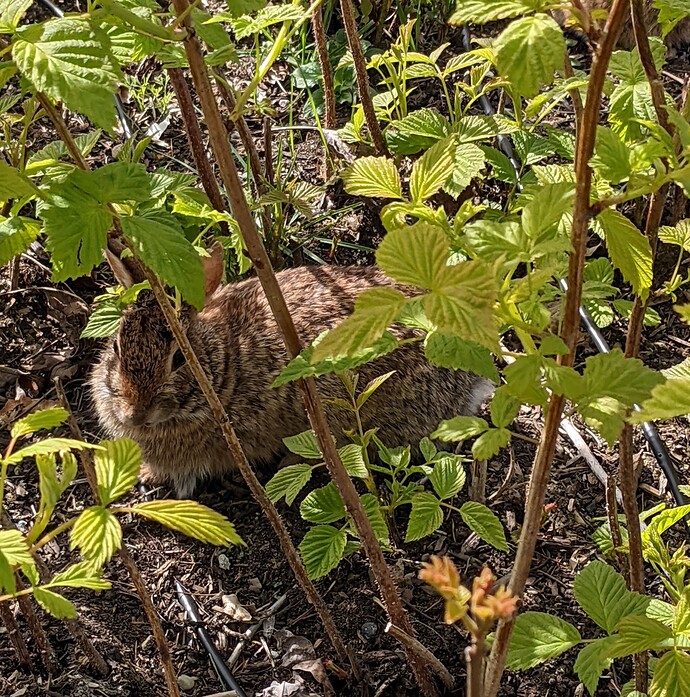 PXL_20220417_225730262.MP~2