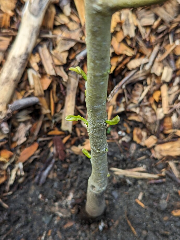 PXL_20240603_171803524