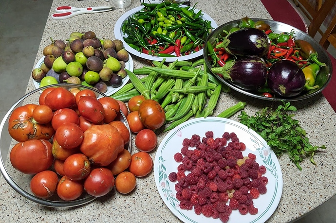 Harvest%2009-12-20%201