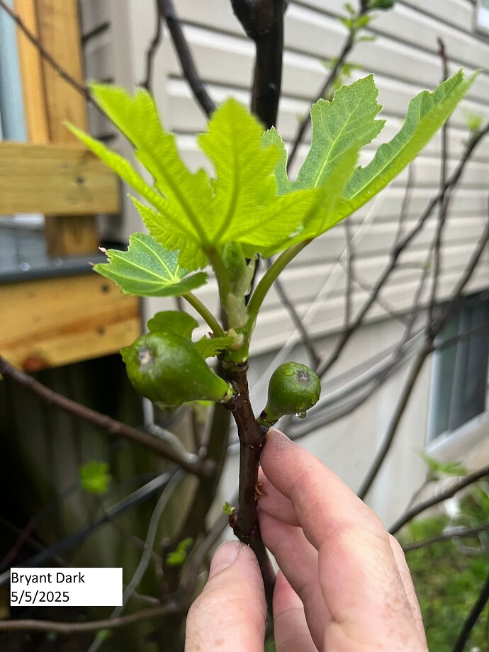 Bryant_Dark_ph_05-05-2025