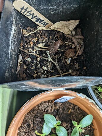 PXL_20230326_213721615