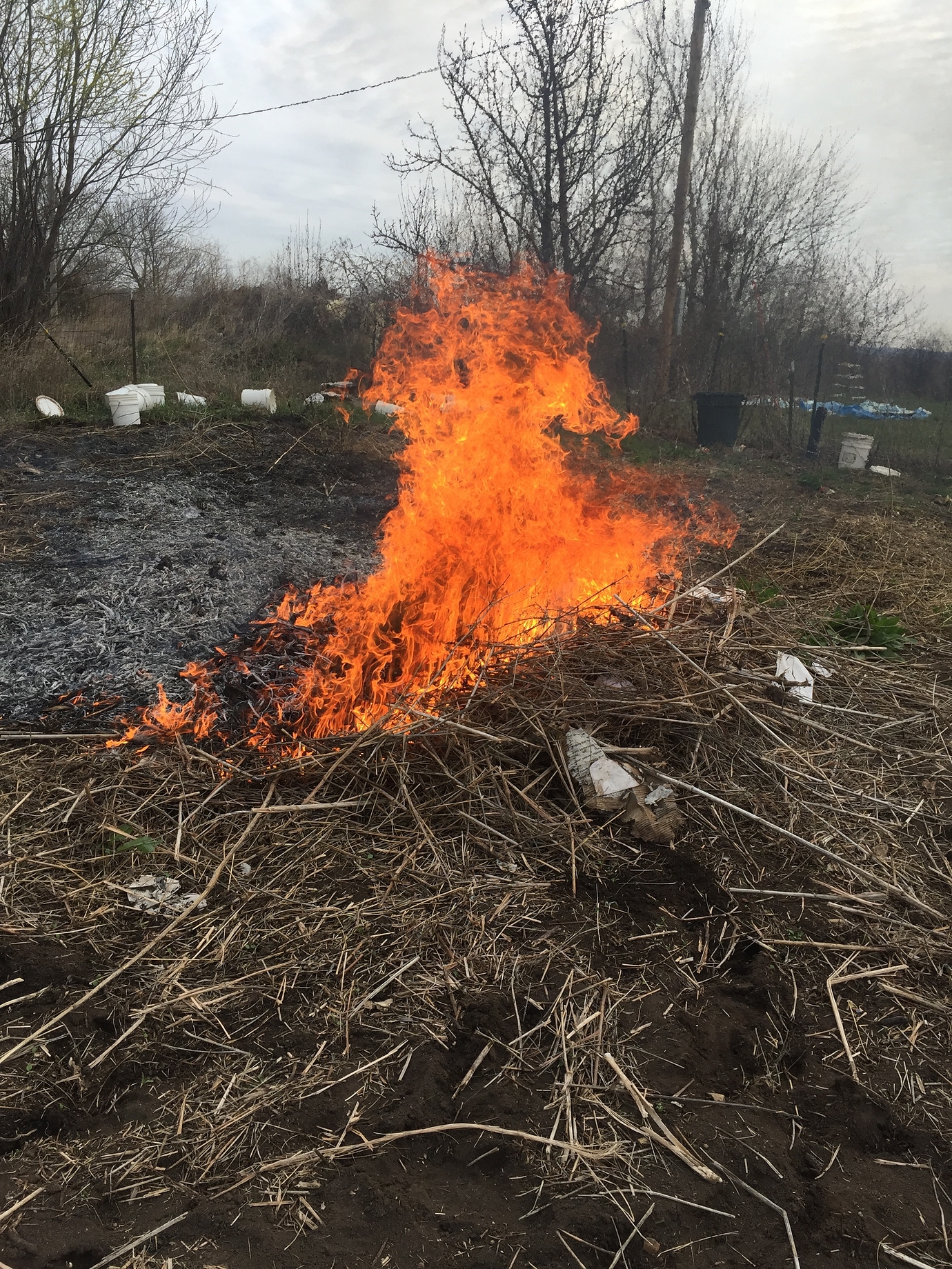 Fire How to eliminate Weed seeds & harmful insect eggs General