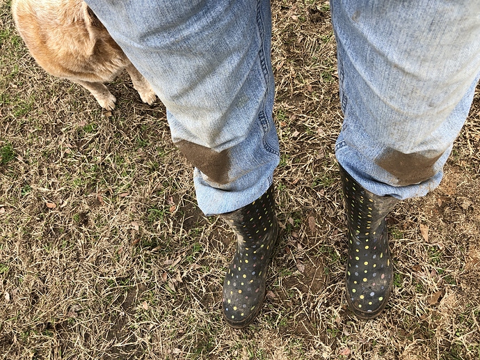 CC359A78-D6EF-490A-B27E-5FD67C2736F0