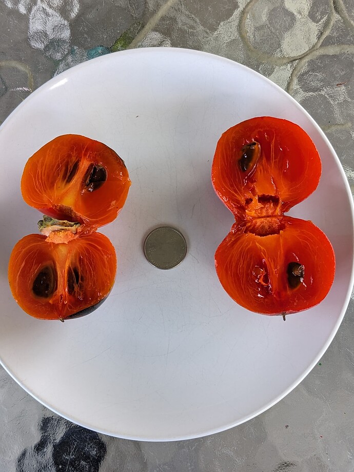 PXL_20231008_203428439.PORTRAIT.ORIGINAL