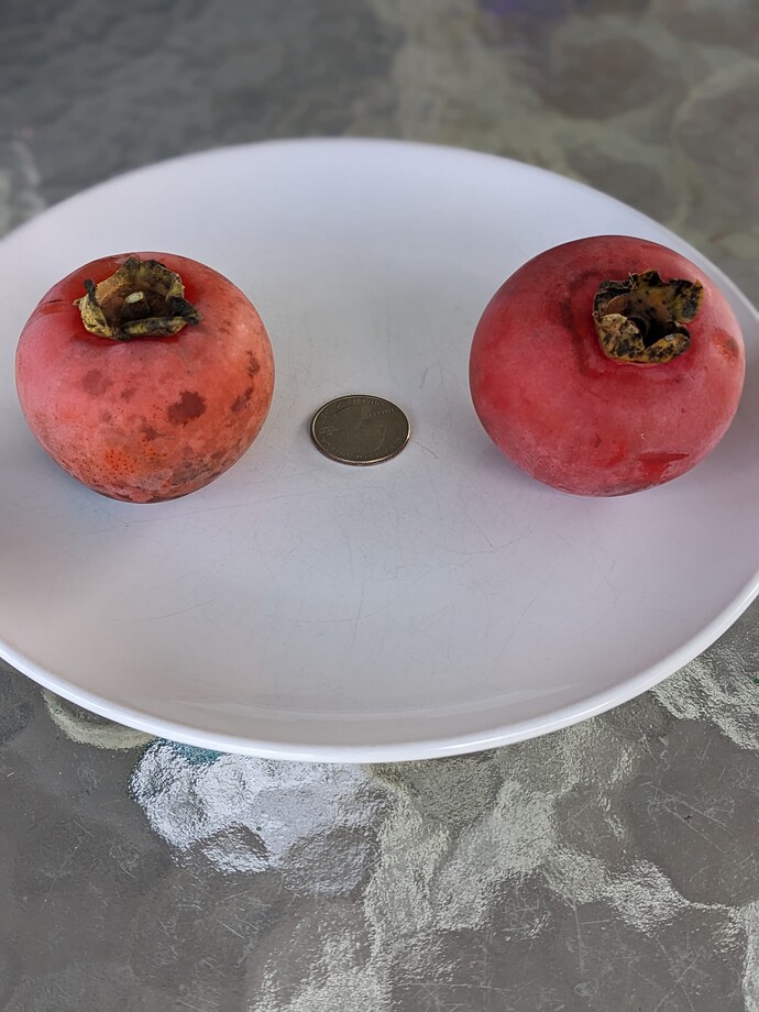 PXL_20231008_203347391.PORTRAIT