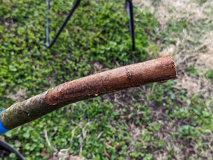 Fireblight Stub 2