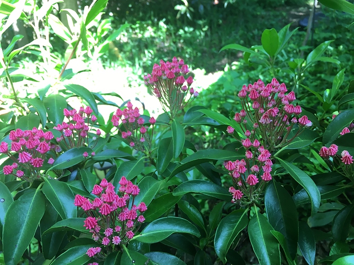 BF3CF592-D84C-47DE-8CC0-75A1E19D86CD