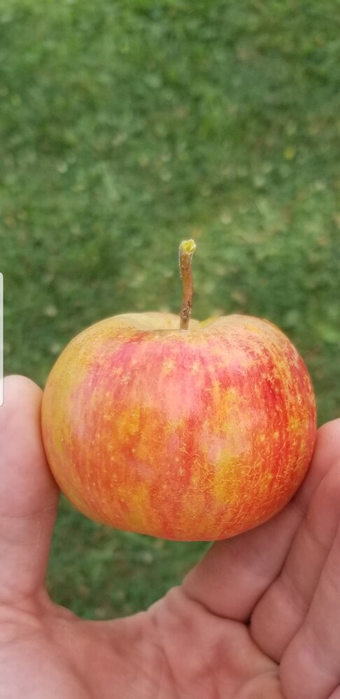 Screenshot_20221015-191349_Photos