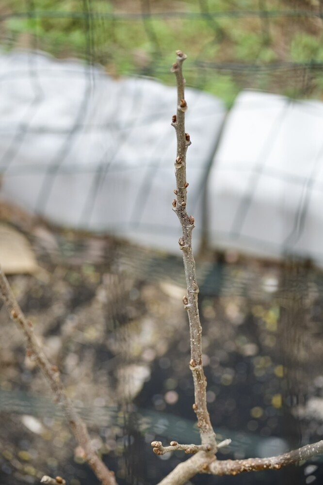 F3955C80-E253-4DC1-9610-F73D7E49458D_1_105_c