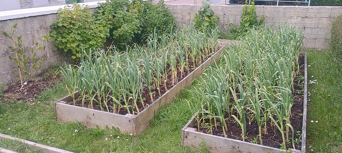 IMG_20250528_110029321_HDR