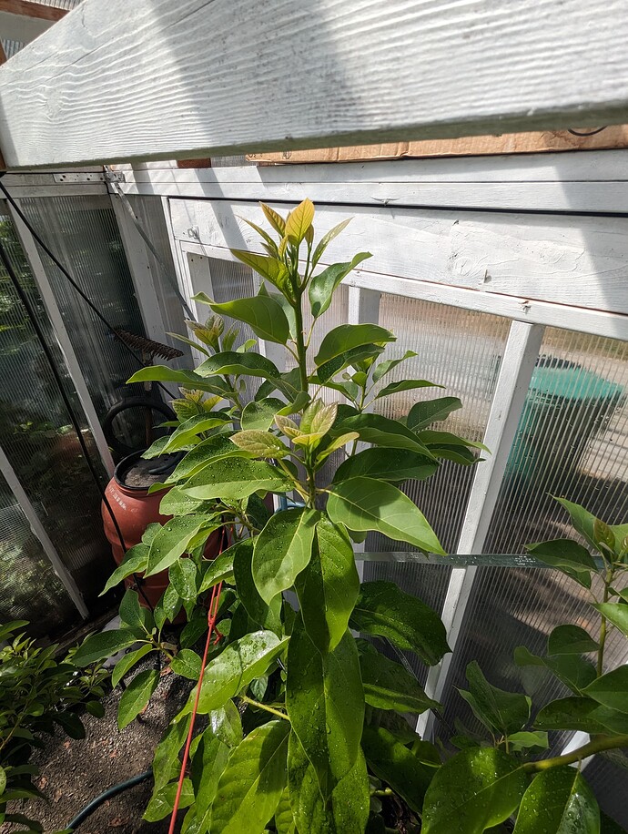 PXL_20230816_190816514