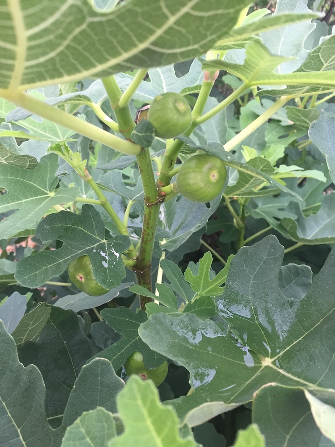 CDFD9110-C201-4961-986E-395ACF12E786