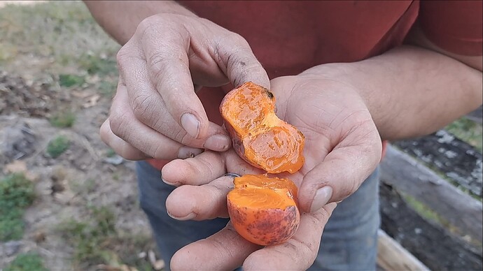 Screenshot_20241021_181521_Gallery