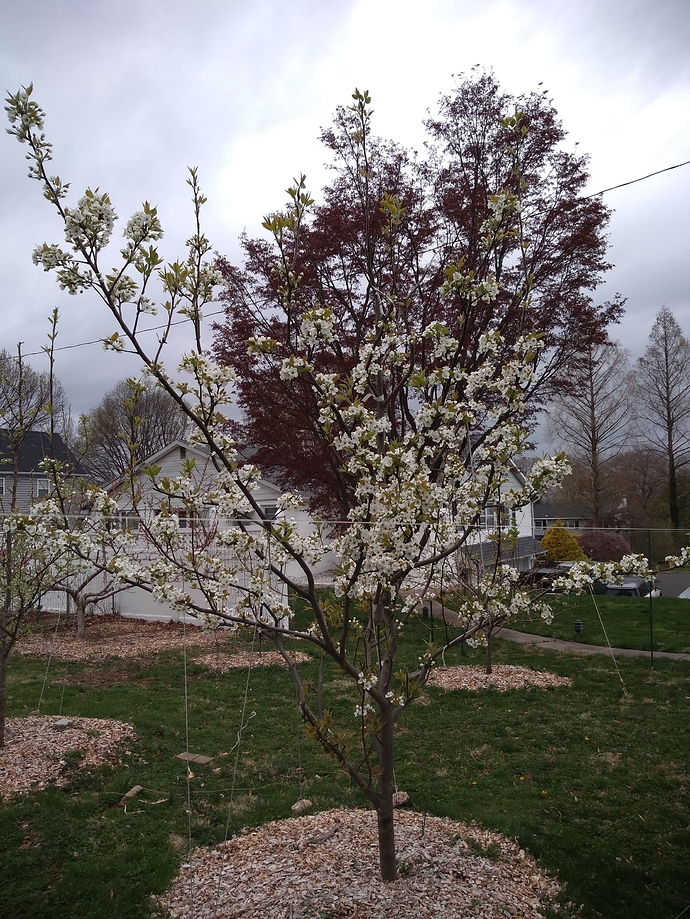 IMG_20190414_153541757