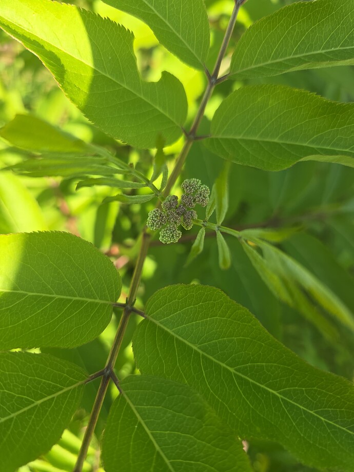 f36c1091-ca68-448f-b0c0-b9b8b83db5c8