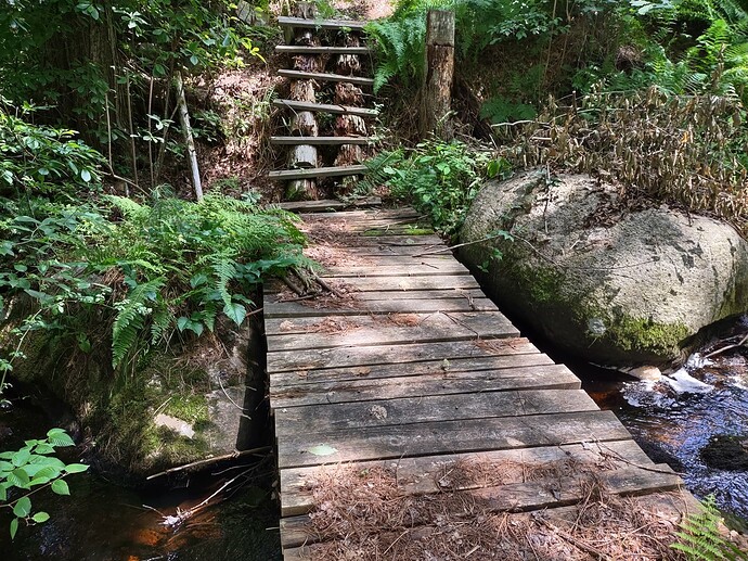 IMG_20230723_120519942_HDR