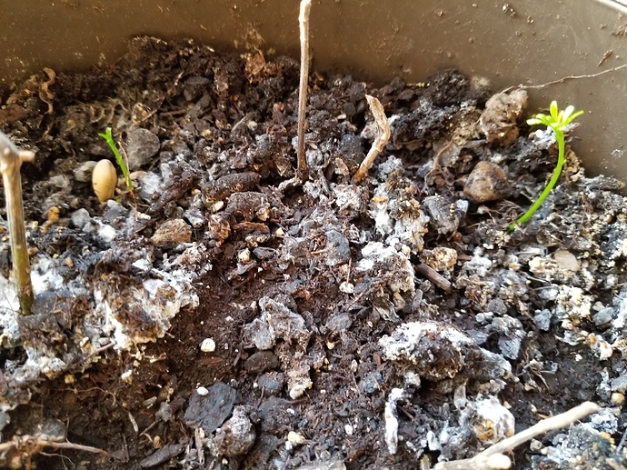 15787823614943709435710556918051