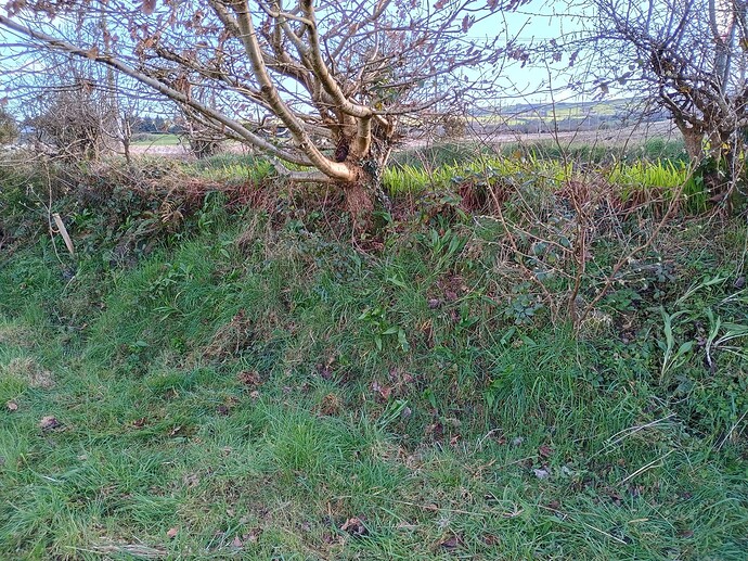 IMG_20240325_172203252_HDR