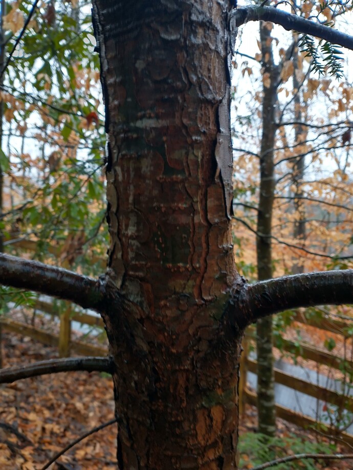 IMG_20240301_121607751_HDR