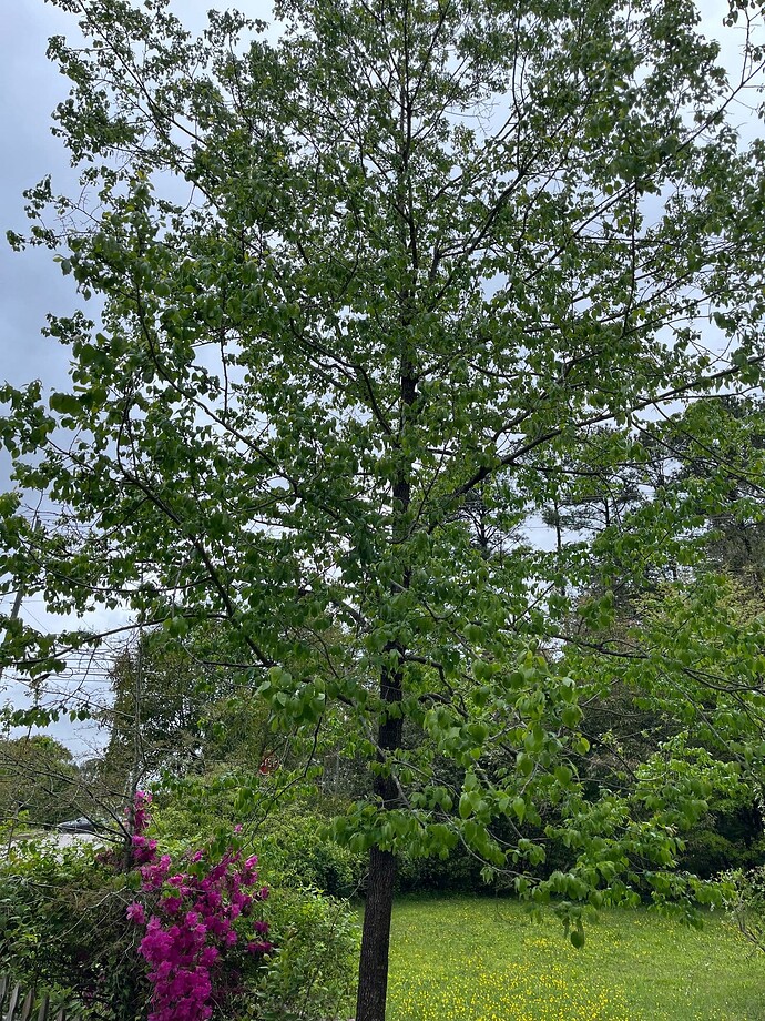 e20c9d94-d85d-451a-b119-85ac515baddb