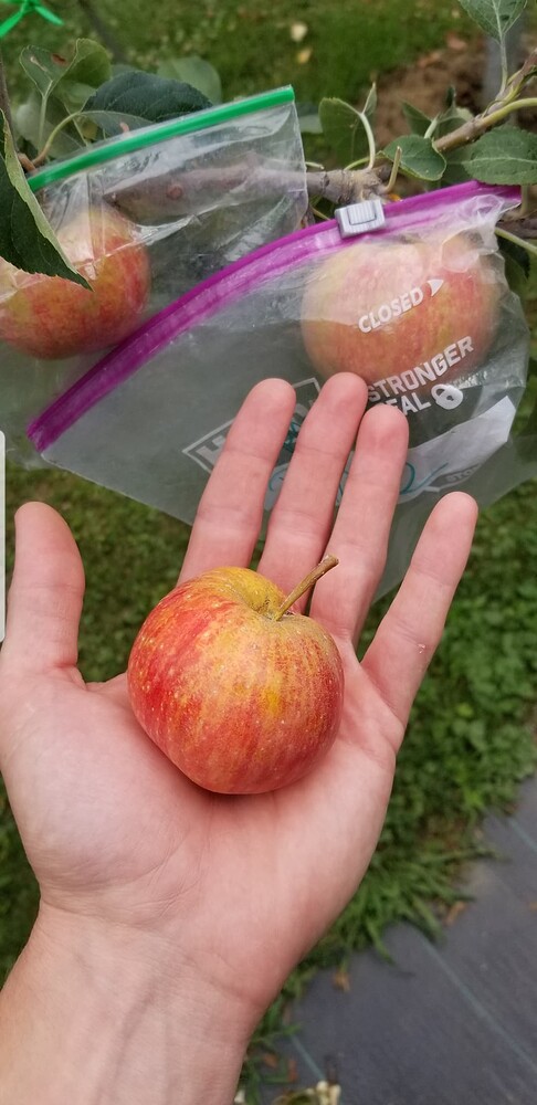 Screenshot_20221015-191424_Photos