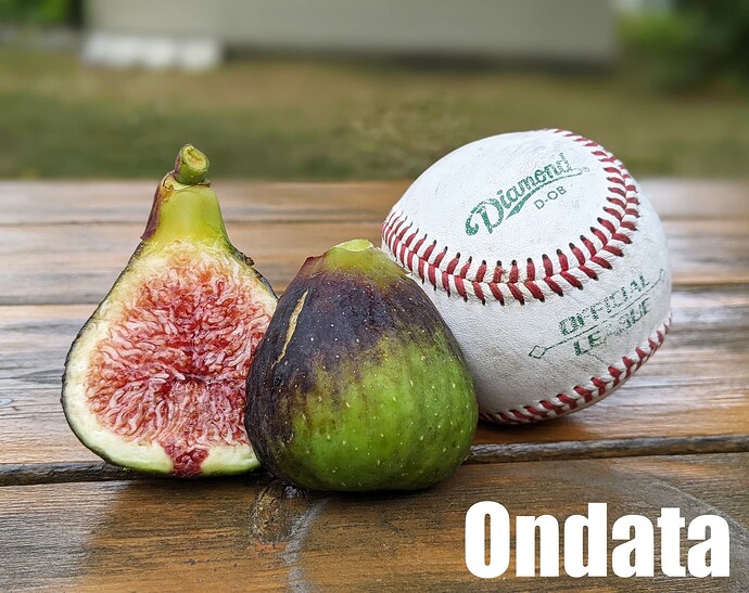 Ondata_2024d
