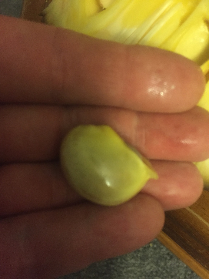 929F63B4-17DC-4FA0-8C18-19B3ACA0DAC6