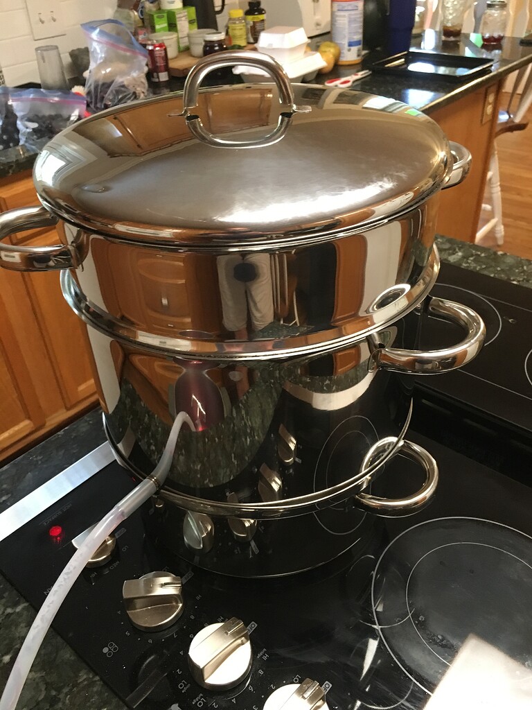 Juicing muscadines General Fruit Growing Growing Fruit