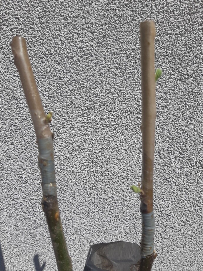 Resized_20210427_140208