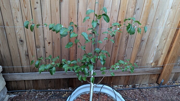 PXL_20250604_032922621