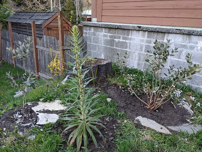 PXL_20220406_021736840.MP