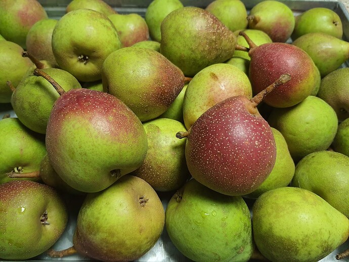 Pears 08-20-21 Ayers