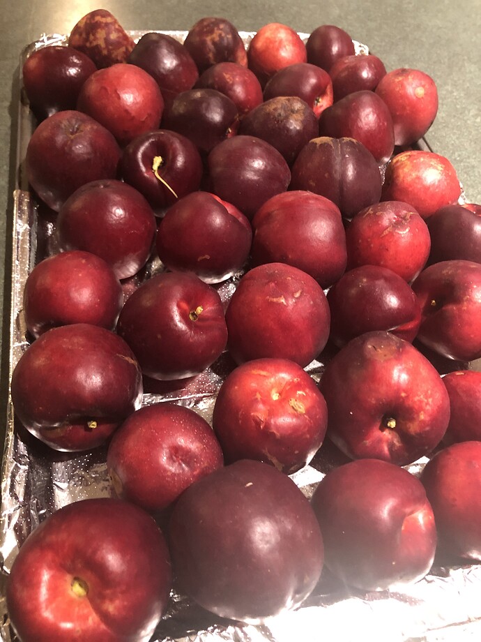 Silver_Gem_08-07-2021