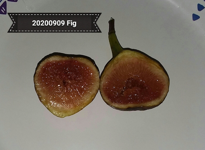 fig%2020200909_180305