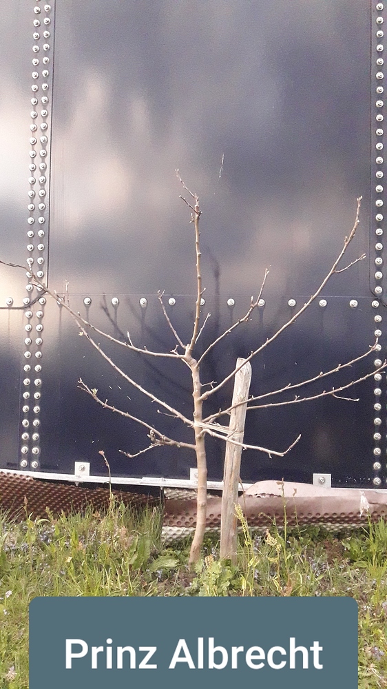 20200413_222941