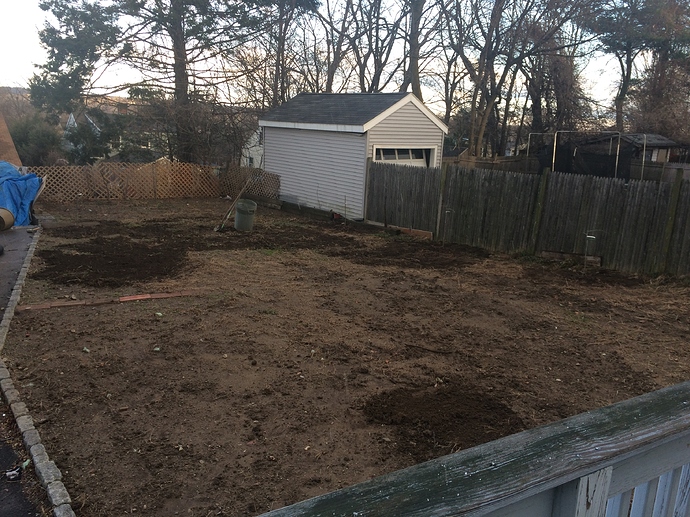 WithJujube_01-06-2019