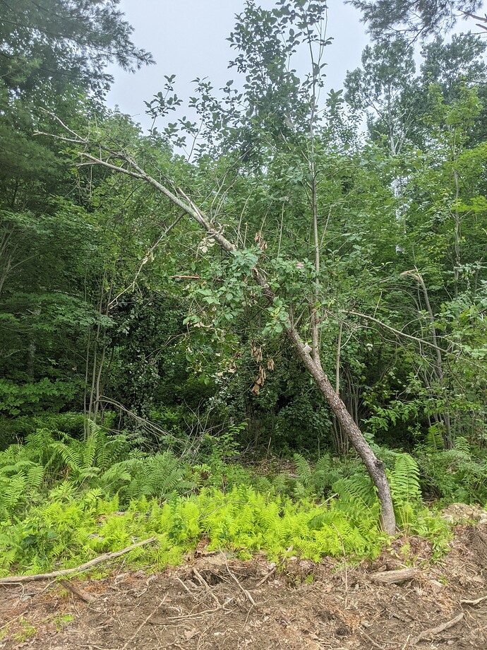 PXL_20210714_221348329