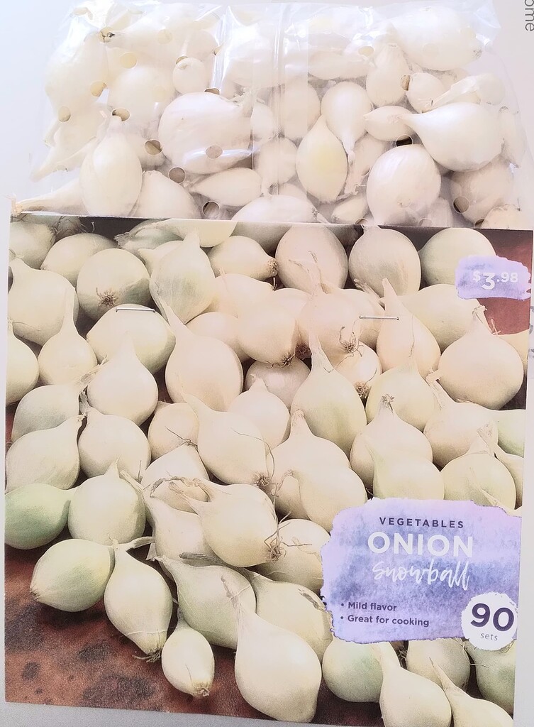 Onion Sets General Gardening Growing Fruit