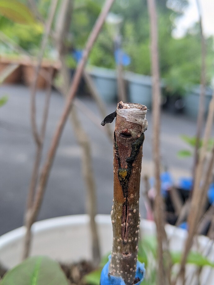 PXL_20220613_162954860.PORTRAIT