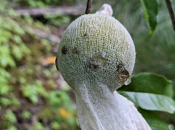 PXL_20220617_230044960