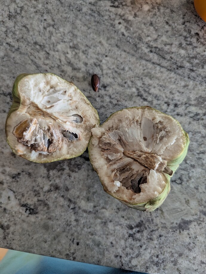 PXL_20250522_222213982