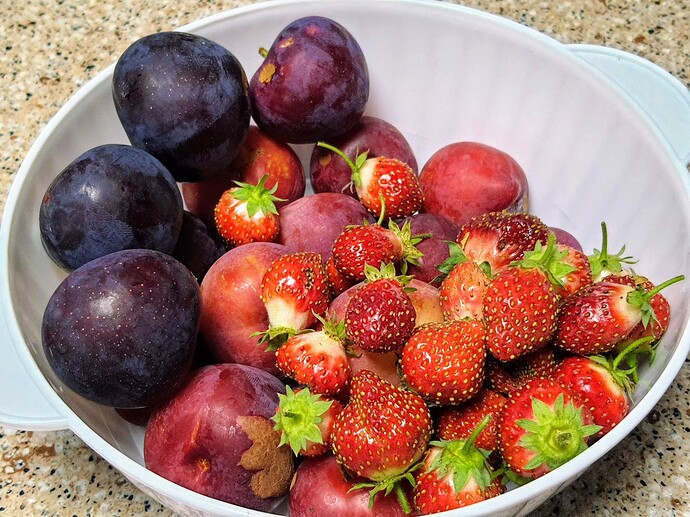 Nadia Plum, Moris de bois strawberry and beauty plum 07-06-21