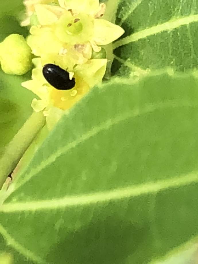 91F34429-FB4D-4F42-96B7-647641E48394