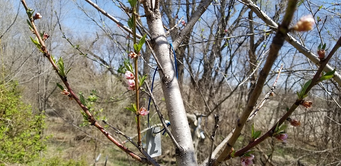 15876633135204859057803062801545